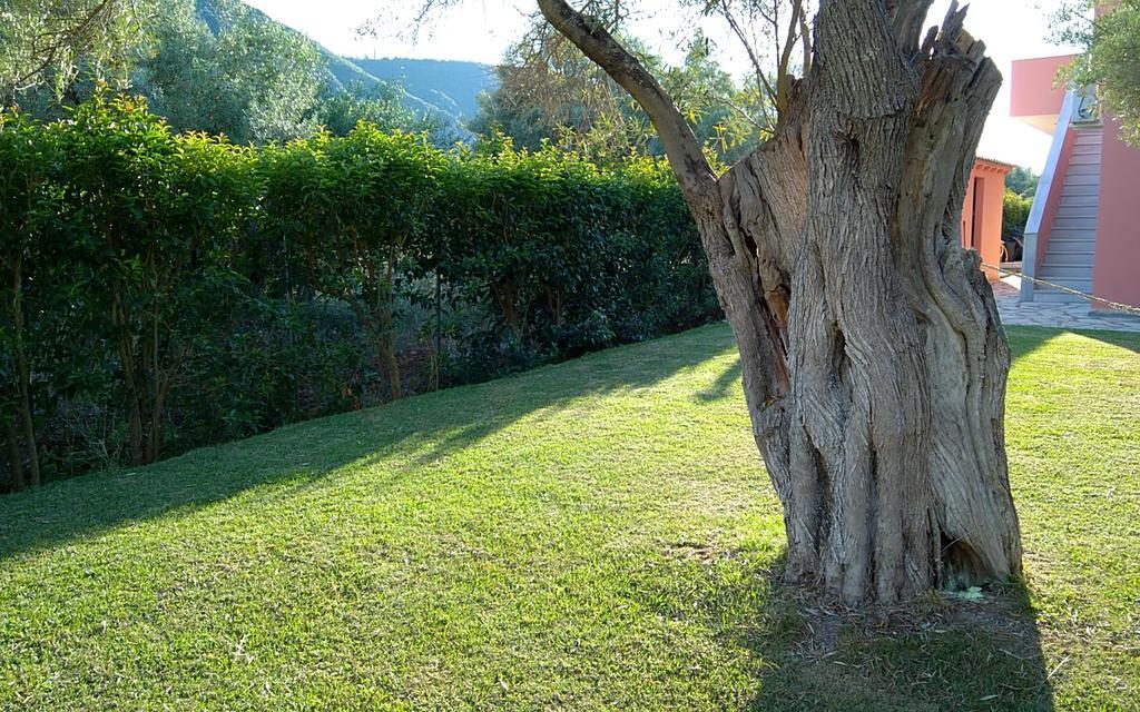Ionian Breeze Studios Frínion Dış mekan fotoğraf